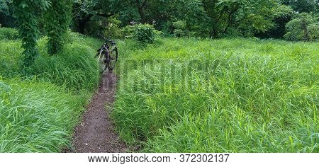 Mtb Bicycle On A Mud Trail Along Green Grass And Trees In Monsoon. Cycle In Nature. Landscape Image 