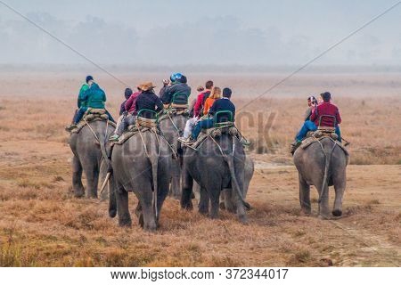 Kaziranga, India - January 30, 2017: Tourists Ride Elephants During Safari In Kaziranga National Par