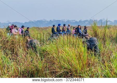 Kaziranga, India - January 30, 2017: Tourists During The Elephant Safari In Kaziranga National Park,