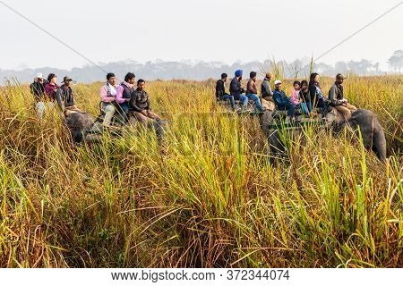 Kaziranga, India - January 30, 2017: Tourists During The Elephant Safari In Kaziranga National Park,