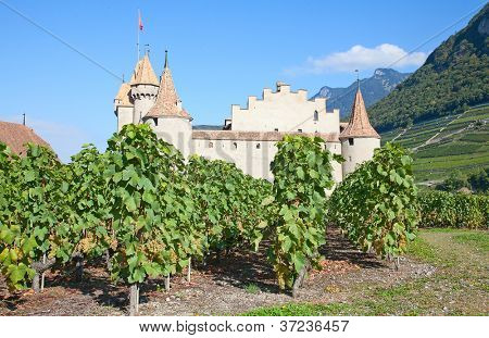 Slavný zámek Chateau hnízdo v kantonu Vaud, Švýcarsko