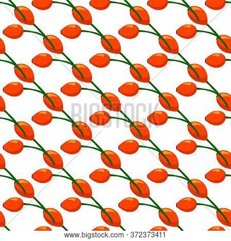 Illustration On Theme Big Colored Seamless Rose Hip, Bright Berry Pattern For Seal. Berry Pattern Co