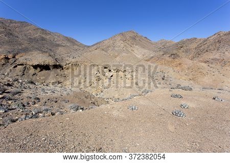 A Walk In Pan De Azucar National Park