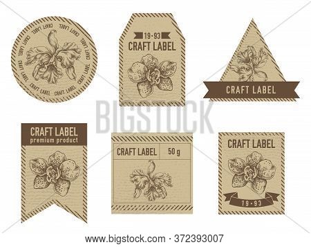 Craft Labels Vintage Design With Illustration Of Orchid Stock Illustration