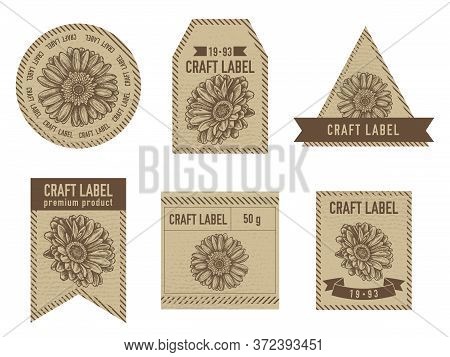 Craft Labels Vintage Design With Illustration Of Gerbera Stock Illustration