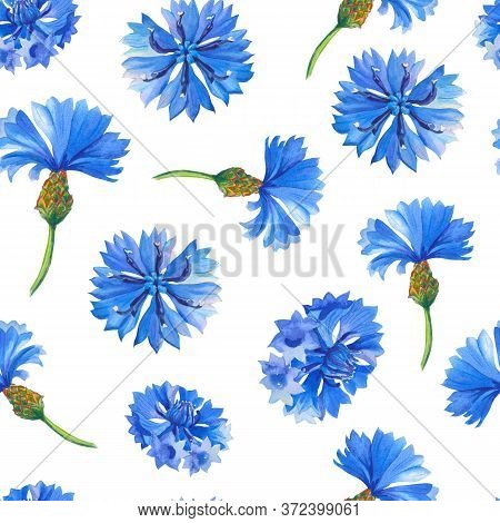 Blue Cornflowers.watercolor Floral Seamless Pattern. Illustration With Flowers For Fabric, Texile, S