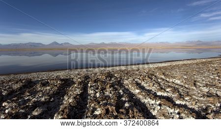 View Of Chaxa Lagoon In Salt Flat, Chile