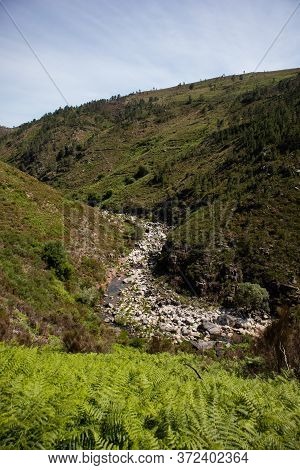 Cávado River In Cabril, Following The Valley And Hidden Bellow Stones