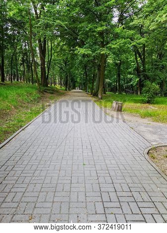 Long Concrete Path In Park Between Lamps And Trees