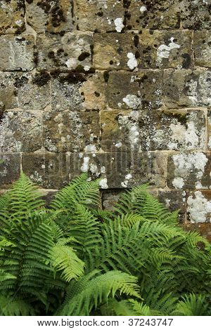 Old Stone Wall Background / Texture