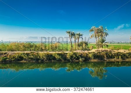 Egyptian countryside near the Nile irrigation canal . Green landscape,  palm trees in the Nile Valley. Egypt. 