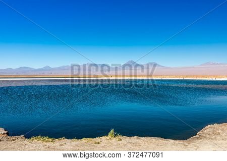 Cejar Lagoon And Licancabur Volcano In Atacama, Chile.