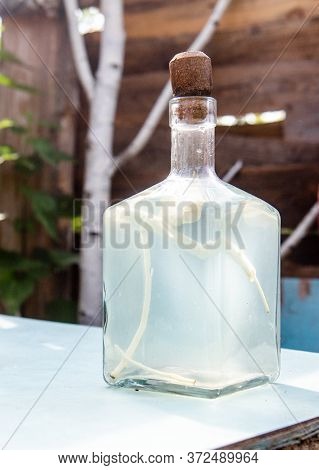 Beautiful Bottle With Moonshine And Horseradish. Homemade Alcoholic Drink In A Decanter With Village