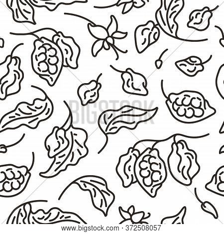 Cocoa Seamless Pattern. Art Line Vector Fruit, Leaf, Bean, Flower. Hand Drawn Sketch. Black Illustra