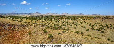 Coconino National Forest Near Wupatki National Monument In Arizona, Usa