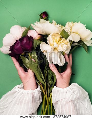 Female Hands In White Blouse Are Holding Beautiful White And Red Peonies Vertical Top View