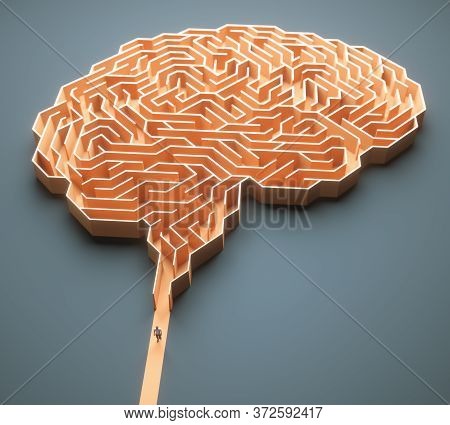 Brain Shaped Maze. Conceptual Image Of Science And Medicine. 3d Illustration.