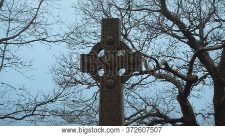 Myterious Trees And A Crucifix In The Mist - Creepy Scary Picture