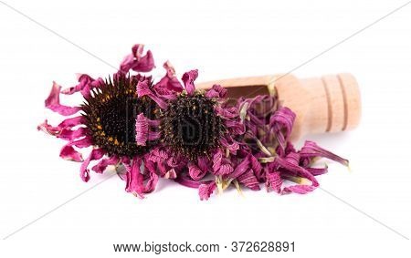 Dried Echinacea Flowers On Wooden Spoon, Isolated On White Background. Petals Of Echinacea Purpurea.