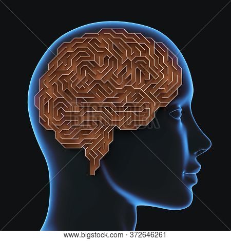 Brain Shaped Maze With Clipping Path Included. Conceptual Image Of Science And Medicine. 3d Illustra
