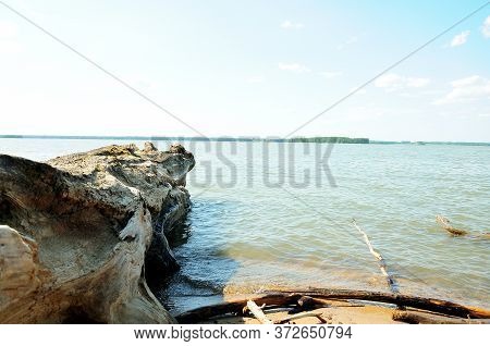 A Large Pile Of Logs Lies On A Sandy Beach At The Edge Of The Forest On The Shore Of A Large Lake On