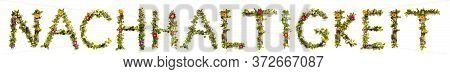 Flower And Blossom Letter Building Word Nachhaltigkeit Means Sustainability