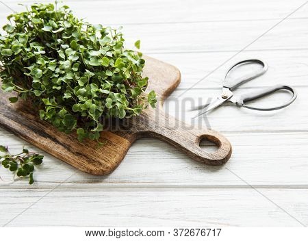 Red Radish Microgreens On A Wooden Cutting Board, Healthy Concept