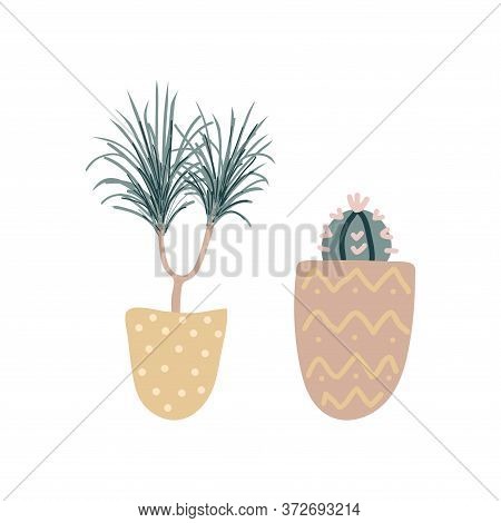 Collection Of Decorative Houseplants Isolated On White Background. Set Of Beautiful Natural Home Dec