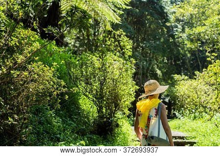 traveling Asian woman hiking in the forest at Xitou, Nantou, Taiwan