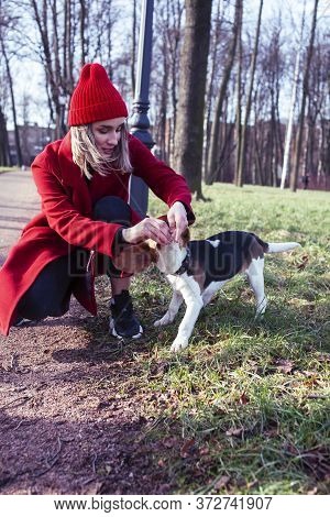 Pretty Young Girl In Redd Coat Playing With Dog Outside In Green Park, Lifestyle People Concept