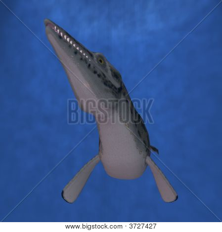 LEPIDOSAURIOS Mosasaurio-3D
