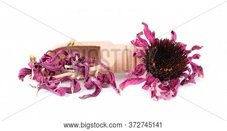 Dried Echinacea Flowers On Wooden Spoon, Isolated On White Background. Petals Of Echinacea Purpurea.