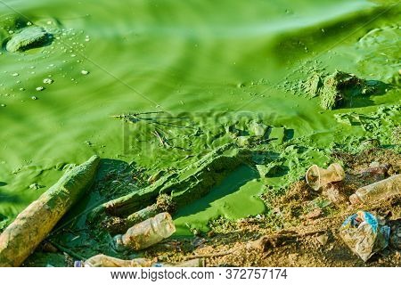 Environmental Water Pollution. Polluted River - Dirty Green Water, Garbage, Waste And Trash. Harmful
