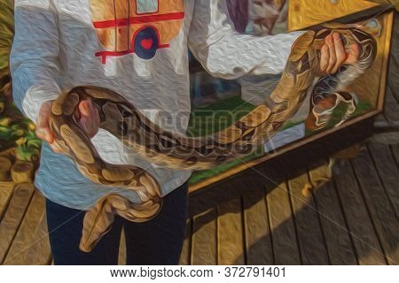 Little Girl Bravely Holding A Beautiful Small Boa Constrictor In A Park Near Bento Goncalves. A Frie