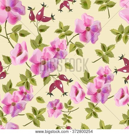 The Pattern With The Image Of Flowers And Buds Wild Rose. Imitation Of Watercolor. Vector Graphics. 