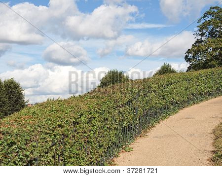HÃ¼gel-Hecke
