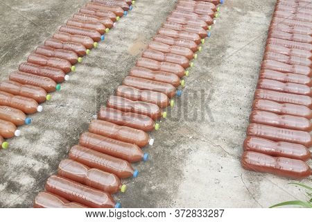 Effective Microorganisms Water (em) That Agriculturist Make From Organic Fertilizers In Plastic Bott