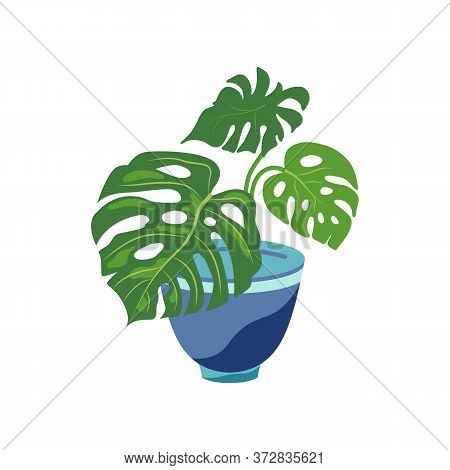 Potted Plant Mostera For Urban Jungle, Green Home Decor. Flat Cartoon Style Design. Vector Illustrat
