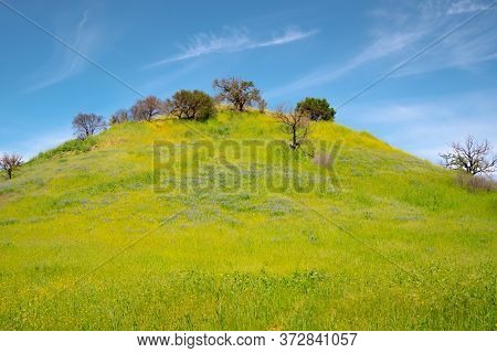 Malibu Creek State Park In California - Travel Photography