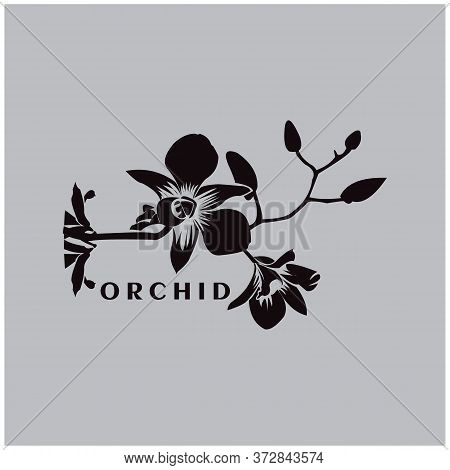 Silhouette Of Orchids On A White Background