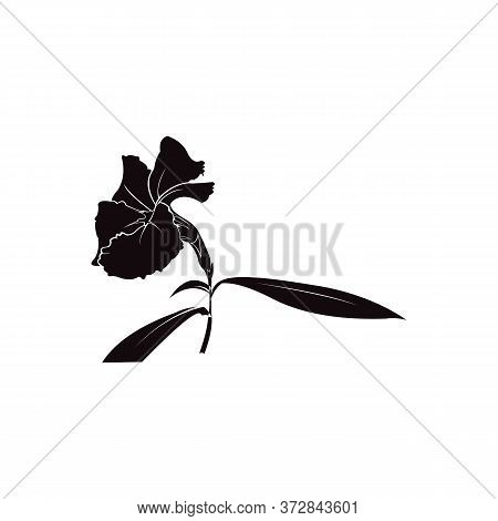 Illustration Of Flower With A Stem On A White Background