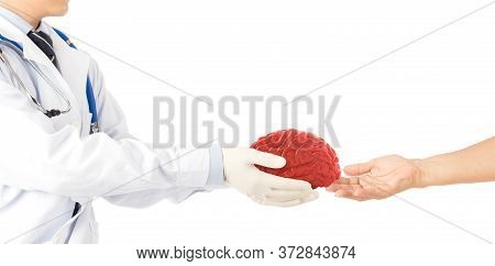 Doctor Hold Brain Send To Brain Disease Patients In White Background