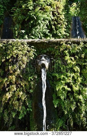 Monkey Face. Detail Of The Luxury Villa D'este In Tivoli, Near To Rome - Italy