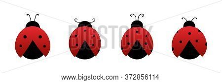 Coccinellidae, Red Ladybug Beetles Vector Icons Set, Collection.