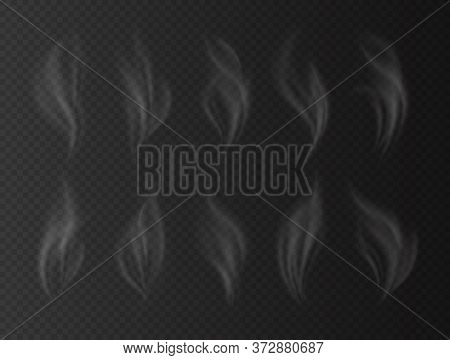 Realistic White Smoke, Collection Of Vapor Effects From A Cigarette, Heated Tea, Or Coffee. Deliciou