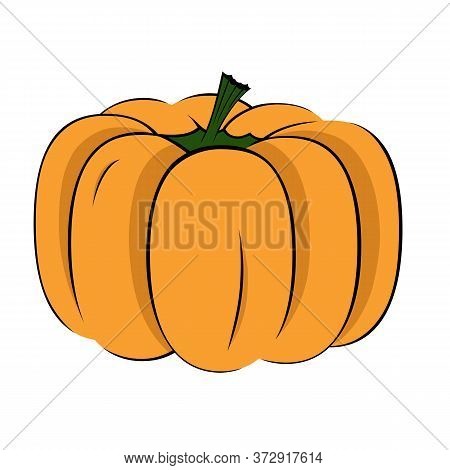 Pumpkin In Cartoon Style Isolated Objects. Vector