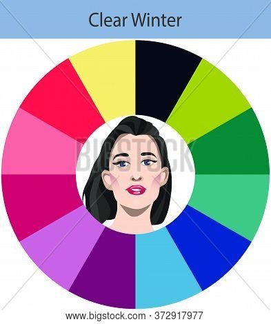 Stock Vector Seasonal Color Analysis Palette For Clear Winter. Best Colors For Clear Winter Type Of 