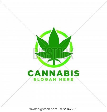 Cannabis Logo Design Vector Template Icon Template