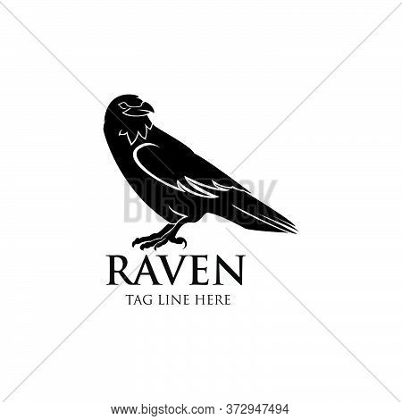 Raven Logo Icon Vector Design Icon Template