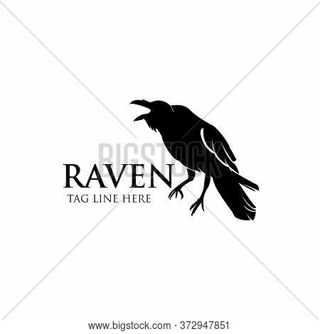 Raven Logo Icon Vector Design Silhouette Symbol